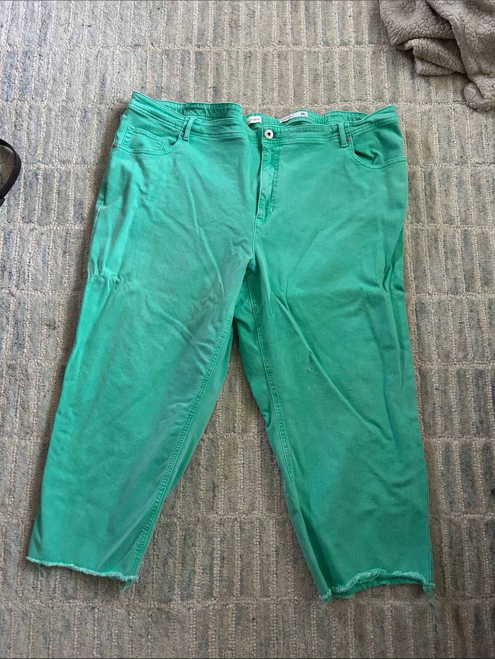 J. Jill Cropped Ankle Pants in Teal Green